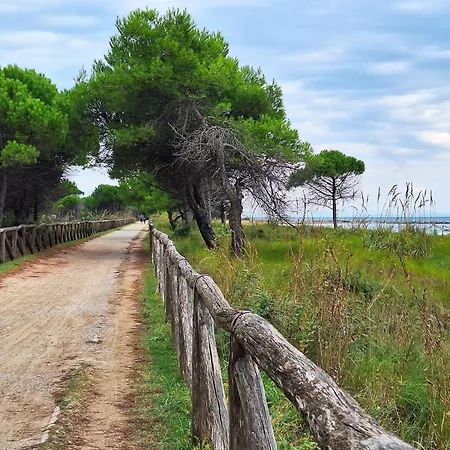 Apartment Cozy Seaside Flat In The Centre - Beahost Bibione